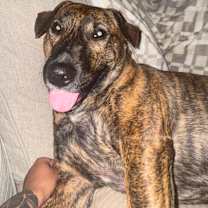 Thumbnail photo of Maui #1