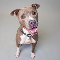 Thumbnail photo of Derek #1