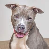 Thumbnail photo of Derek #4