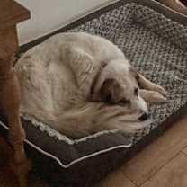 Thumbnail photo of Jackie Sparrow HTX #4