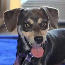 Thumbnail photo of Abbott #1