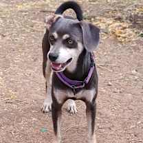 Thumbnail photo of Soot #4