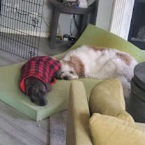 Thumbnail photo of Momo #4