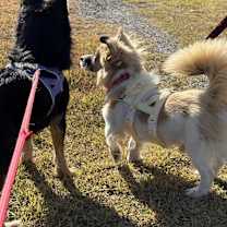 Thumbnail photo of Ttunttun #2