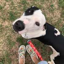 Thumbnail photo of Jackson Dwayne-JD #3