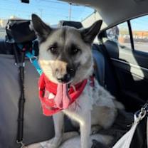 Thumbnail photo of Daphne #1