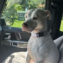 Thumbnail photo of Lyla Juliet #2