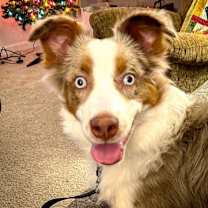 Thumbnail photo of Max #3