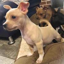 Thumbnail photo of Eggnog #2