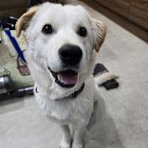 Thumbnail photo of SUNI #1