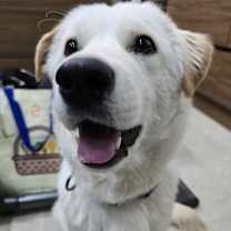 Thumbnail photo of SUNI #2