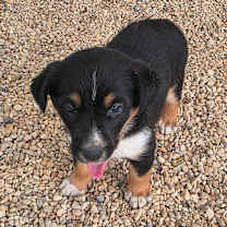 Thumbnail photo of Odessa JuM #3