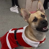 Thumbnail photo of Thackery🍁 #2