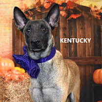 Thumbnail photo of Kentucky #2