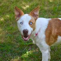 Thumbnail photo of Curtis  #1