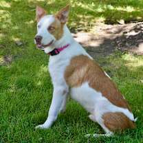 Thumbnail photo of Curtis  #2