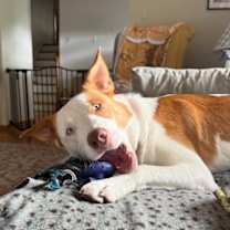 Thumbnail photo of Curtis  #3