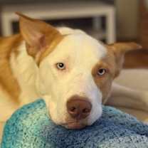 Thumbnail photo of Curtis  #4