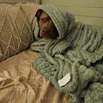 Thumbnail photo of Zuke #1