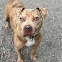 Thumbnail photo of Mike #1