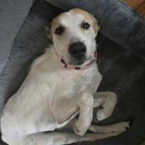 Thumbnail photo of Winnie #1