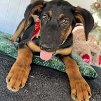 Thumbnail photo of Denmark #4