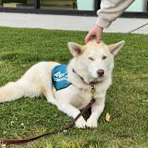 Thumbnail photo of Keisha #2