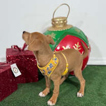 Thumbnail photo of Apple Jack #2