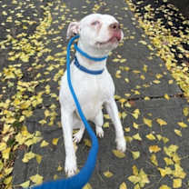 Thumbnail photo of Misty Skye #4