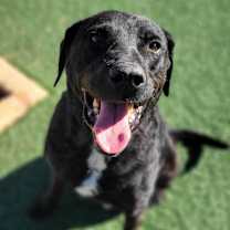 Thumbnail photo of Mark #3