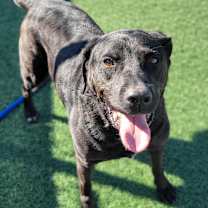 Thumbnail photo of Mark #4