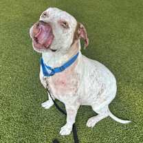 Thumbnail photo of Lana #3