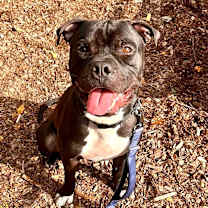 Thumbnail photo of Gaston #3