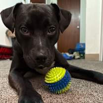 Thumbnail photo of Walker #3