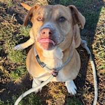 Thumbnail photo of Sally #3