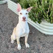 Thumbnail photo of Ritz #1