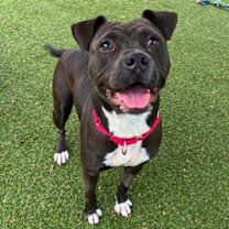 Thumbnail photo of Kita #1