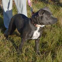 Thumbnail photo of Daisy Mae #2