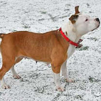 Thumbnail photo of Princess #2