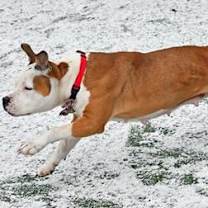 Thumbnail photo of Princess #3