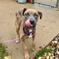 Thumbnail photo of Lucy #2