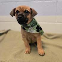 Thumbnail photo of Poke #2