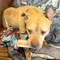 Thumbnail photo of Peanut #2