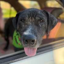 Thumbnail photo of BW #3