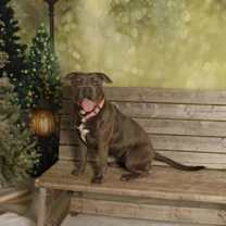 Thumbnail photo of Faith #1