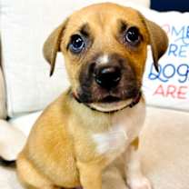 Thumbnail photo of Elfie #2