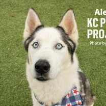 Thumbnail photo of Alexei #1