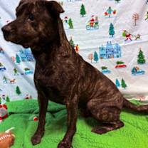 Thumbnail photo of Gunner #1