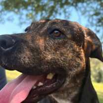 Thumbnail photo of Abbott #2