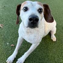 Thumbnail photo of Bono #2